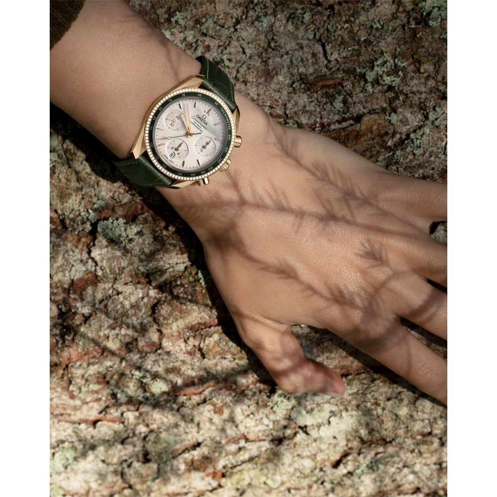 Speedmaster 38 mm
